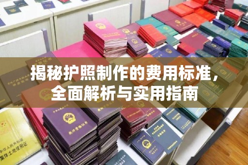 莎车揭秘护照制作的费用标准，全面解析与实用指南